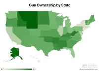 American Gun Facts image 4